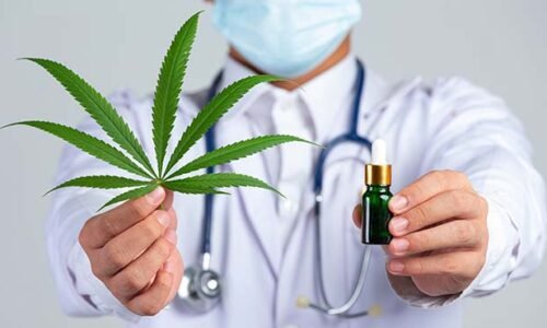 Cannabis en Perspectiva